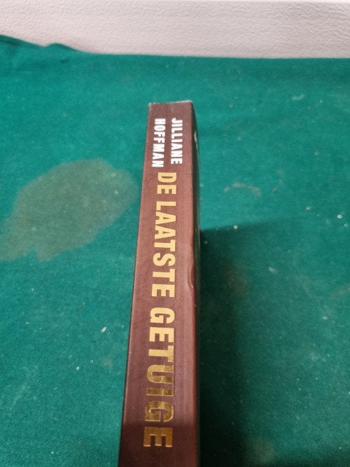-	Boek jilliane hoffman, Ophalen of Verzenden