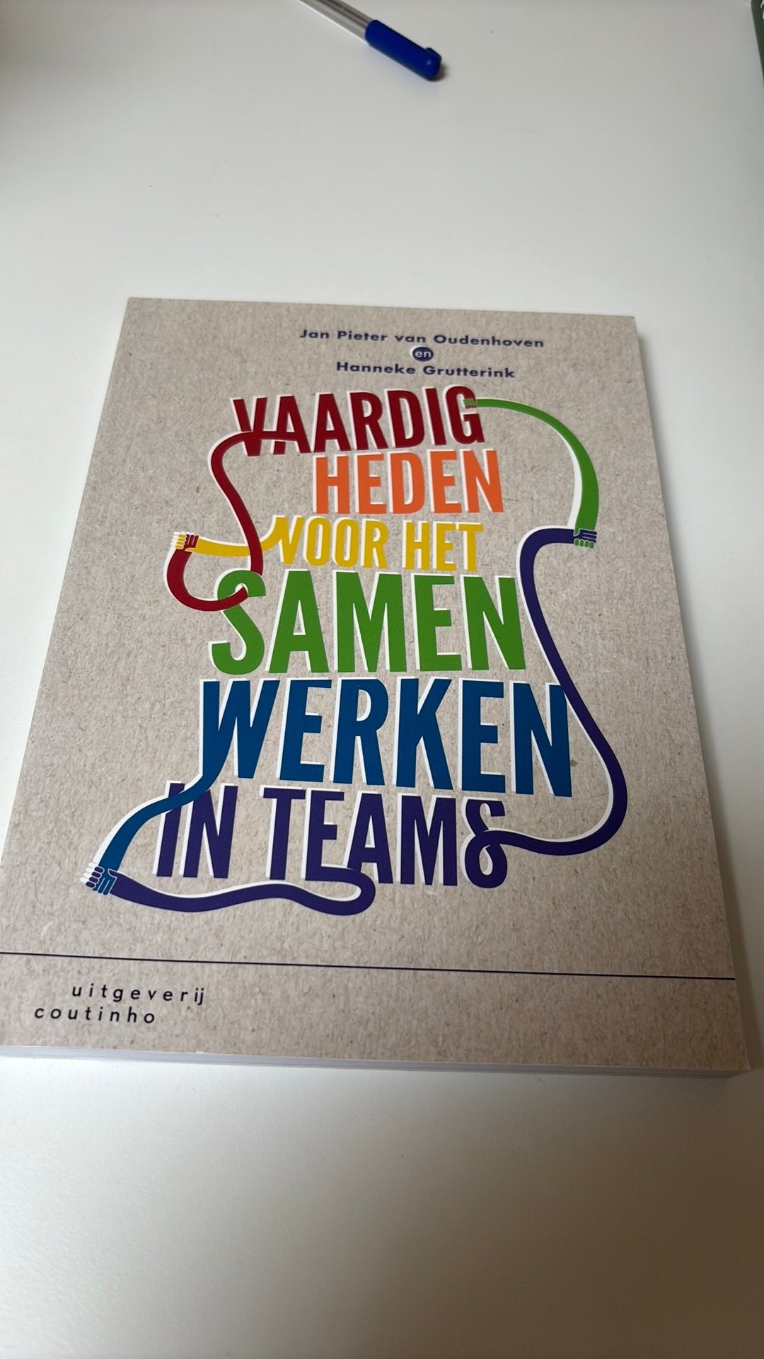 Vaardigheden voor het samenwerken in teams, Jan Pieter van Oudenhoven; Hanneke Grutterink, Sociale wetenschap, Ophalen of Verzenden