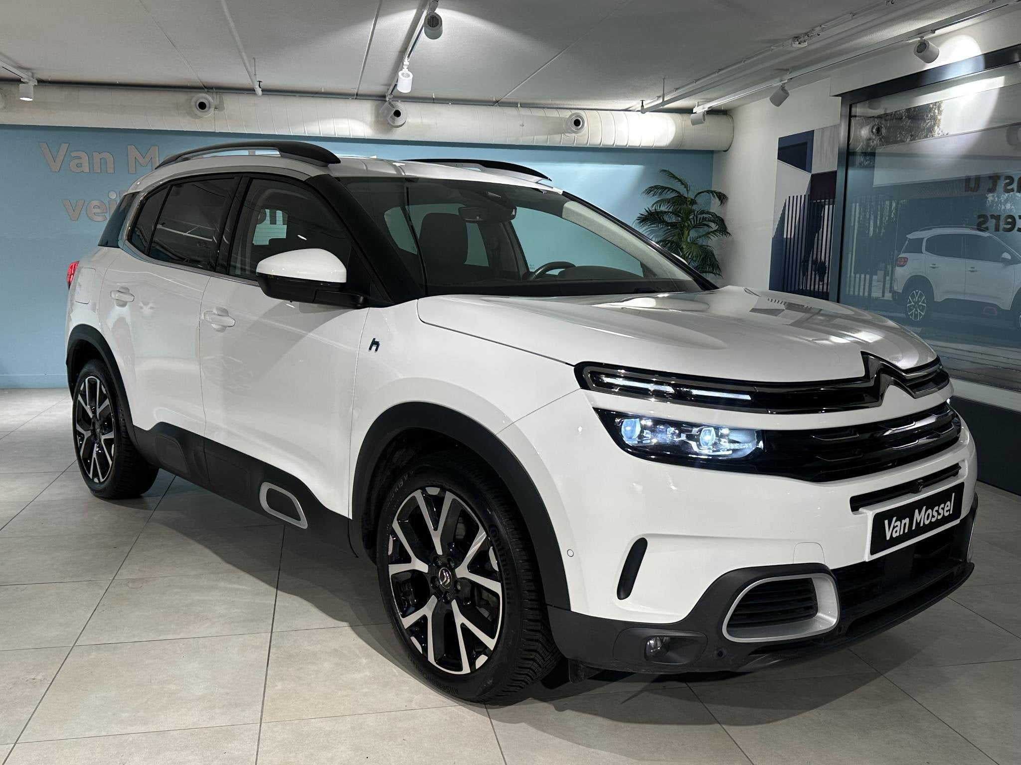 Citroen C5 Aircross 1.6 Plug-in Hybrid 225 Shine, Auto's, 12 maanden, 14 kWh, Gebruikt, Euro 6