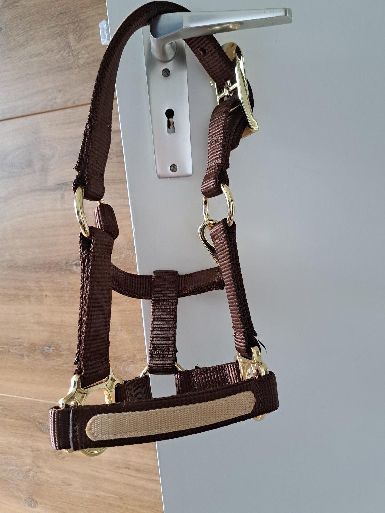 Veulenhalster pony, Dieren en Toebehoren, Paarden en Pony's | Overige Paardenspullen, Ophalen of Verzenden, Nieuw