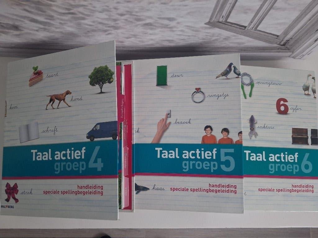 Handleiding spelling gr 4,5 en 6 Taal actief, Boeken, Ophalen of Verzenden, Zo goed als nieuw, Overige niveaus, Nederlands