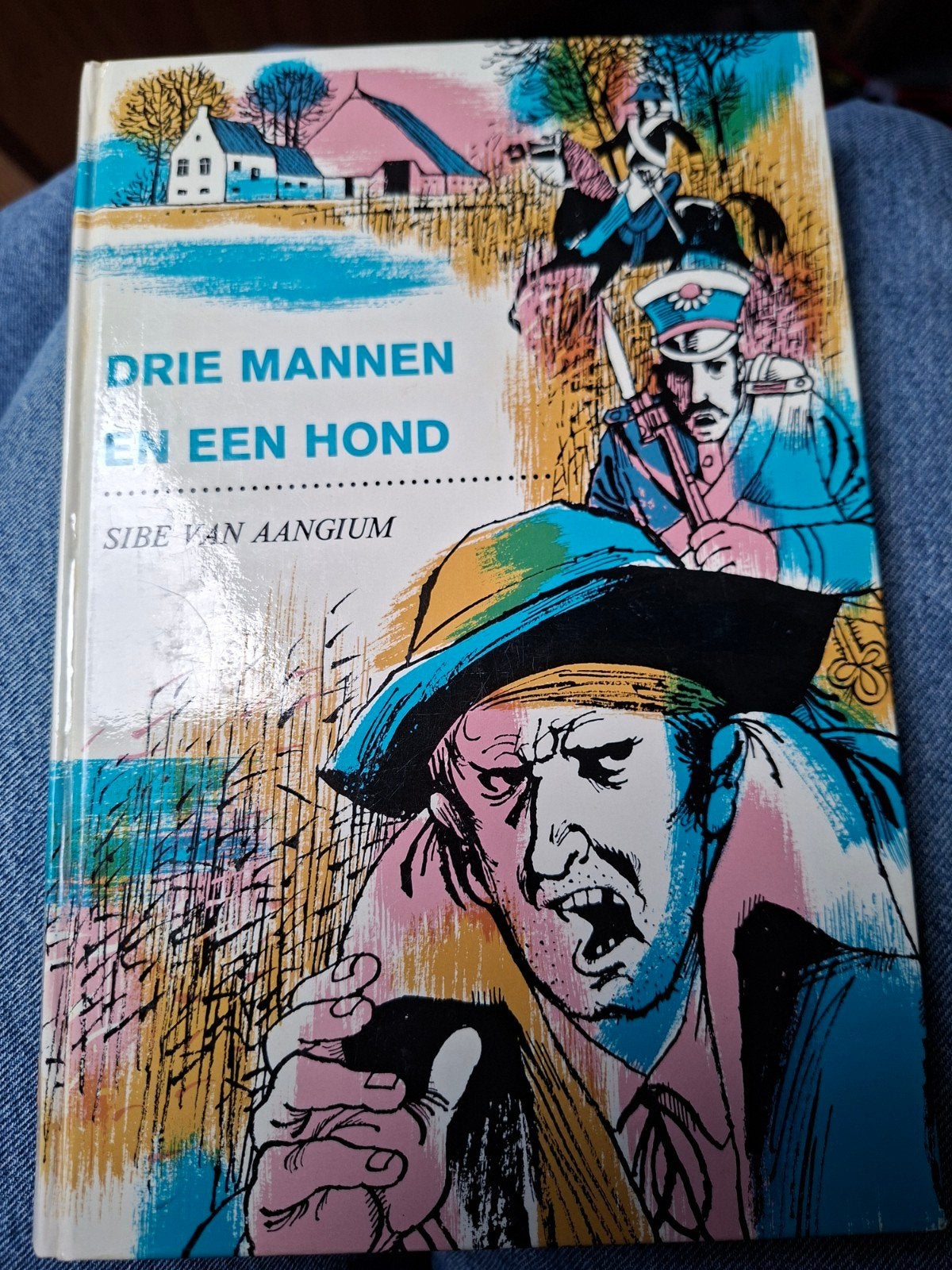 Drie Mannen en een Hond - Sibe van Aangium (Oud Boek), Boeken, Romans, Gelezen, Nederland, Ophalen of Verzenden
