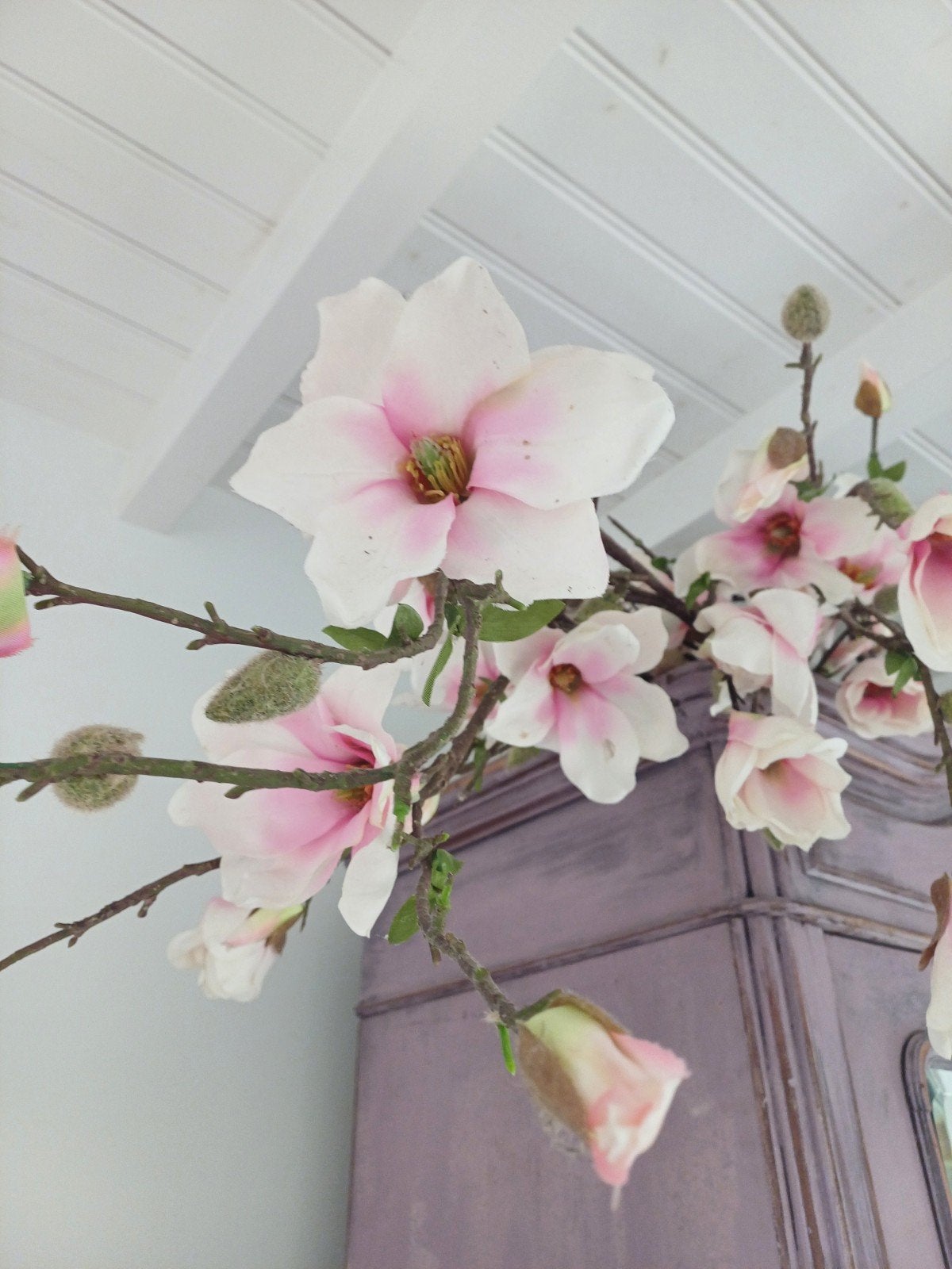 Magnolia takken, Ophalen