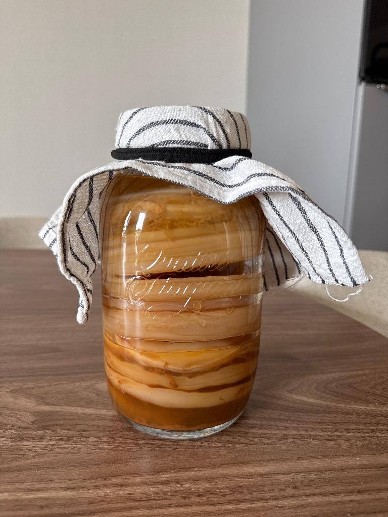 Kombucha scoby, Ophalen, Nieuw, Overige typen