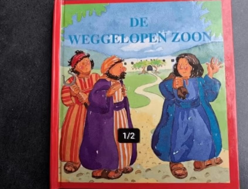 Ark Boeken - De Weggelopen Zoon, Ophalen of Verzenden, Gelezen