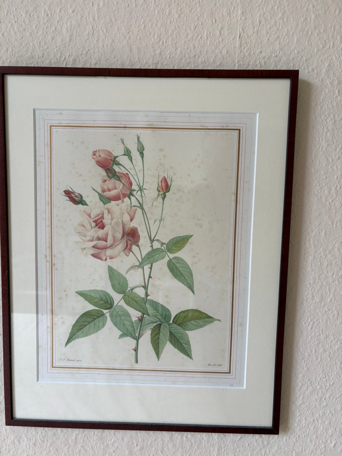 2 oude rozen premten in lijst van pj Redoute, Ophalen, Natuur, Gebruikt, Voor 1940