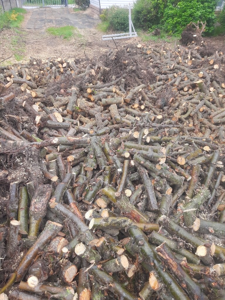 brandhout appel, 6 m³ of meer, Ophalen of Verzenden, Overige houtsoorten, Stammen