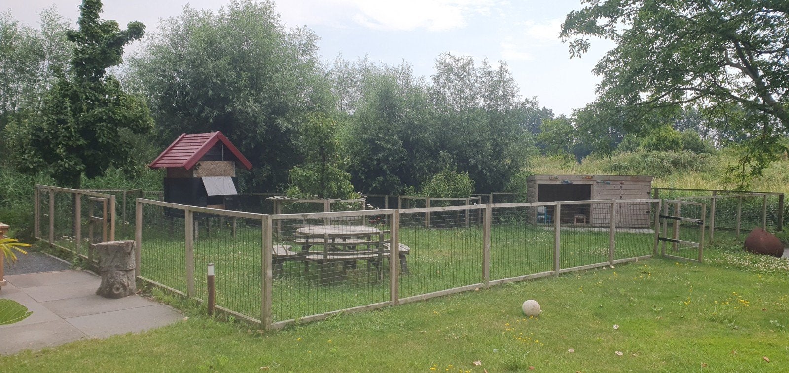 Hekwerk inclusief stalletje, Meerdere dieren, Schaap