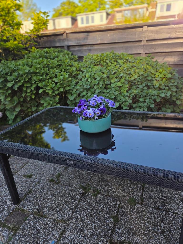 Antracietgrijze tuintafel Bois Le Duc met glazen blad, Tuin en Terras, Tuintafels, Ophalen, Gebruikt, Rechthoekig, Overige materialen