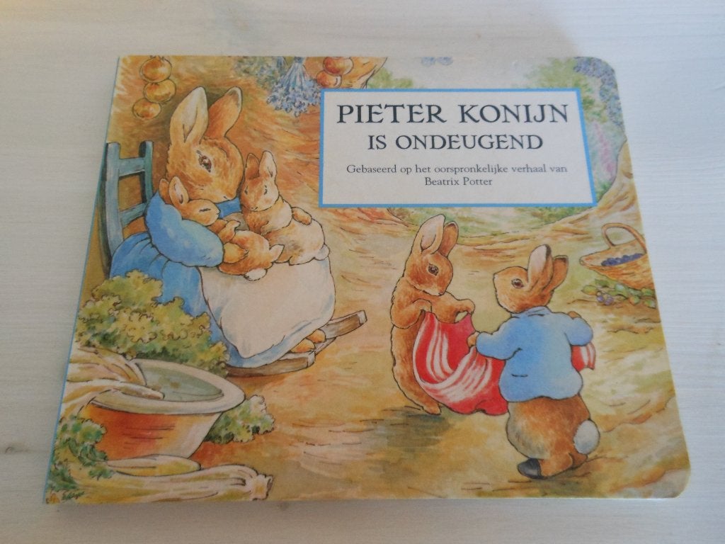Pieter Konijn, Boeken, Ophalen of Verzenden, Zo goed als nieuw, 3 tot 4 jaar