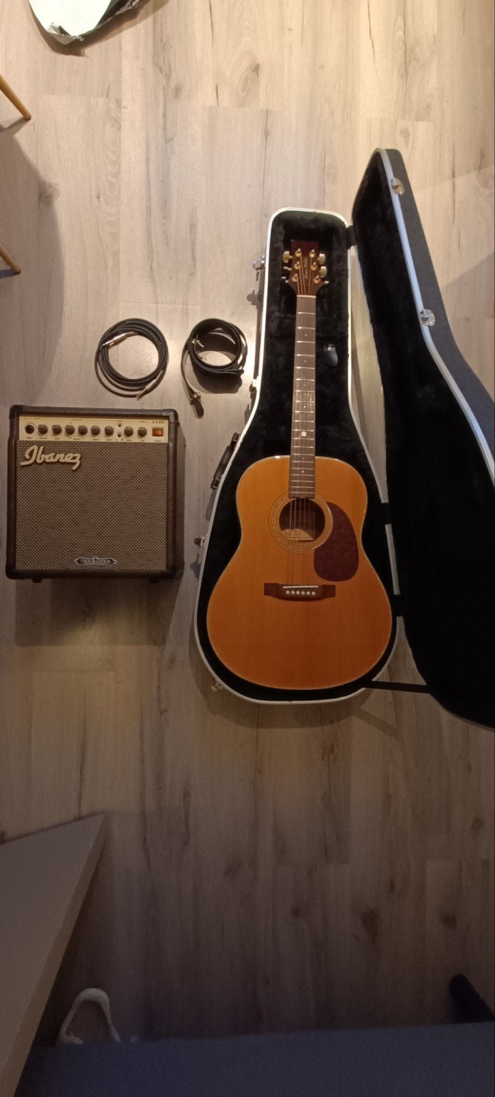 Akoestische gitaar met element, case en Ibanez Troubadour, Ophalen, Gebruikt, Western- of Steelstringgitaar, Met (piezo-)element