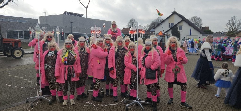 loopgroep carnaval uniseks 19pers. Van kontj tot snoet., Ophalen, Zo goed als nieuw, Carnaval, Kleding