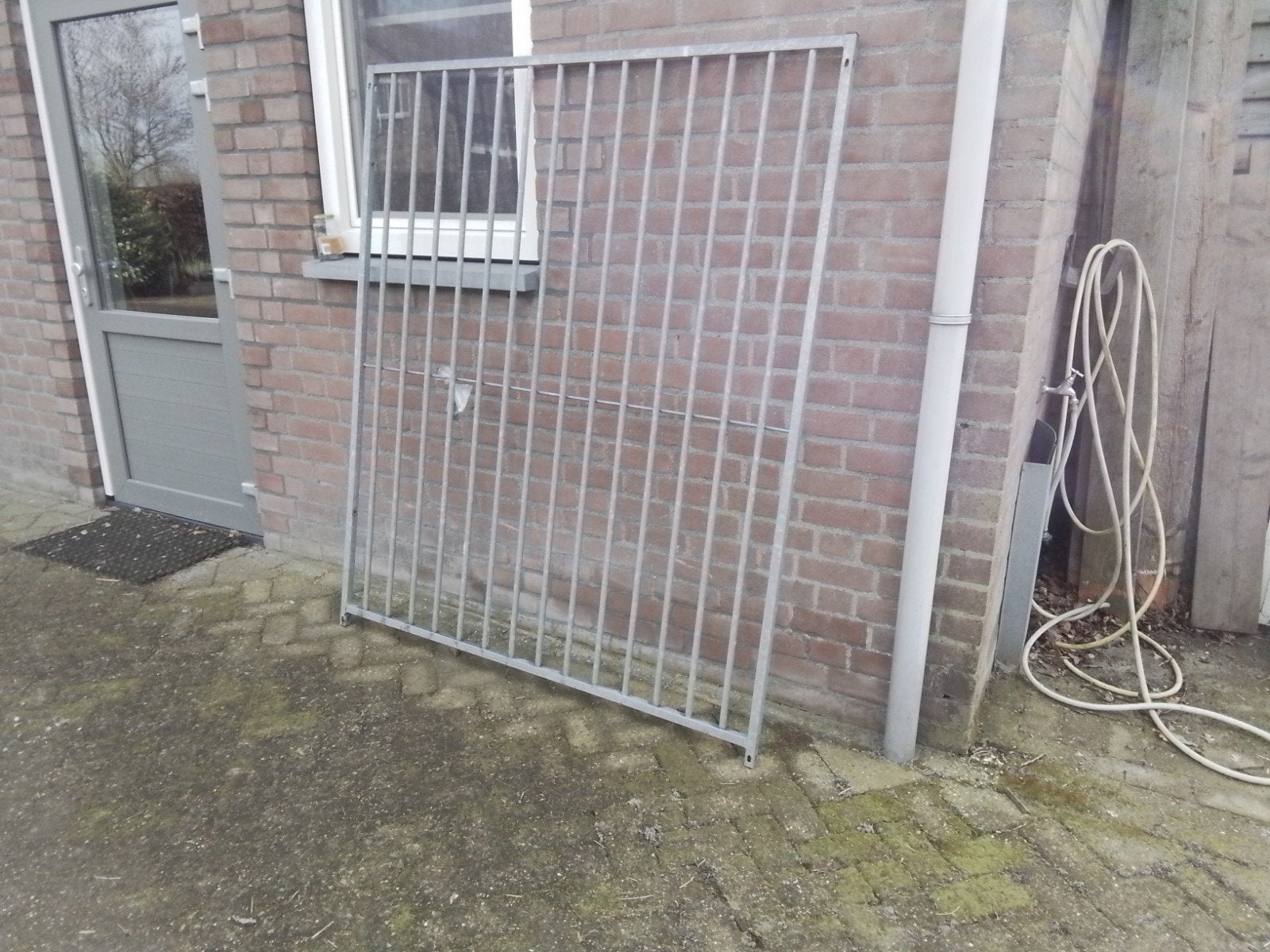 te koop hondenren, Dieren en Toebehoren, Ophalen