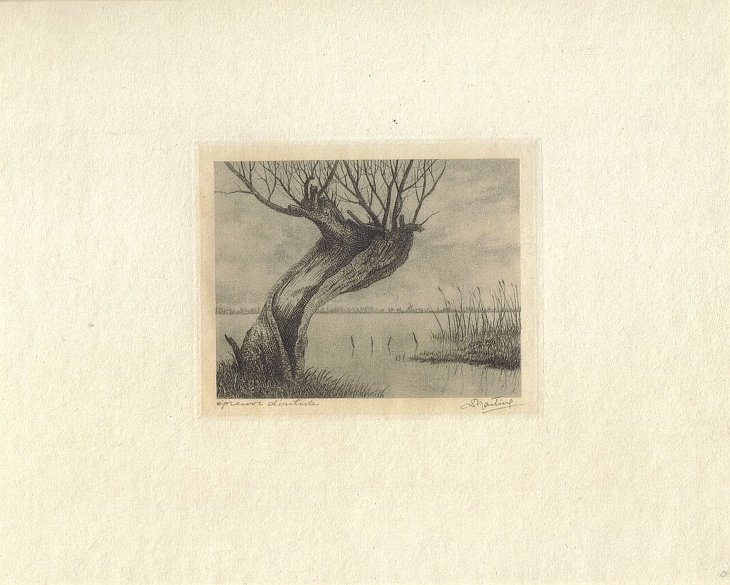 Dirk Harting ets "Wilg aan het Meer", gesigneerd, Antiek en Kunst, Kunst | Etsen en Gravures, Ophalen, Origineel, Ets, Landschap