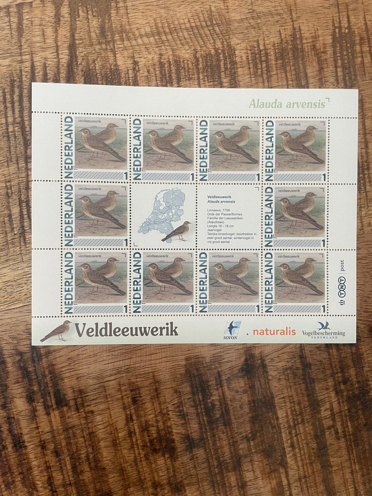 Vel Persoonlijke Postzegels Vogels in Ned Veldleeuwerik.PF, Postzegels en Munten, Postzegels | Nederland, Ophalen of Verzenden