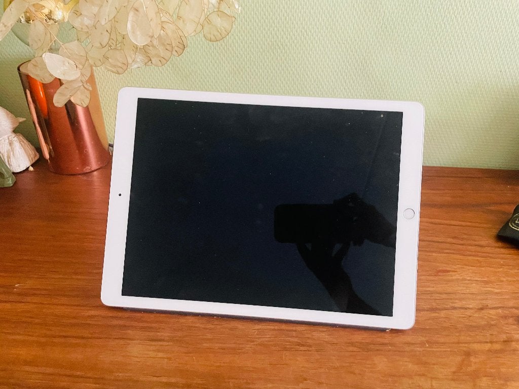 Ipad pro 12.9inch 2e generatie, Computers en Software, Apple iPads, Apple iPad, 12 inch, Ophalen of Verzenden, Zo goed als nieuw