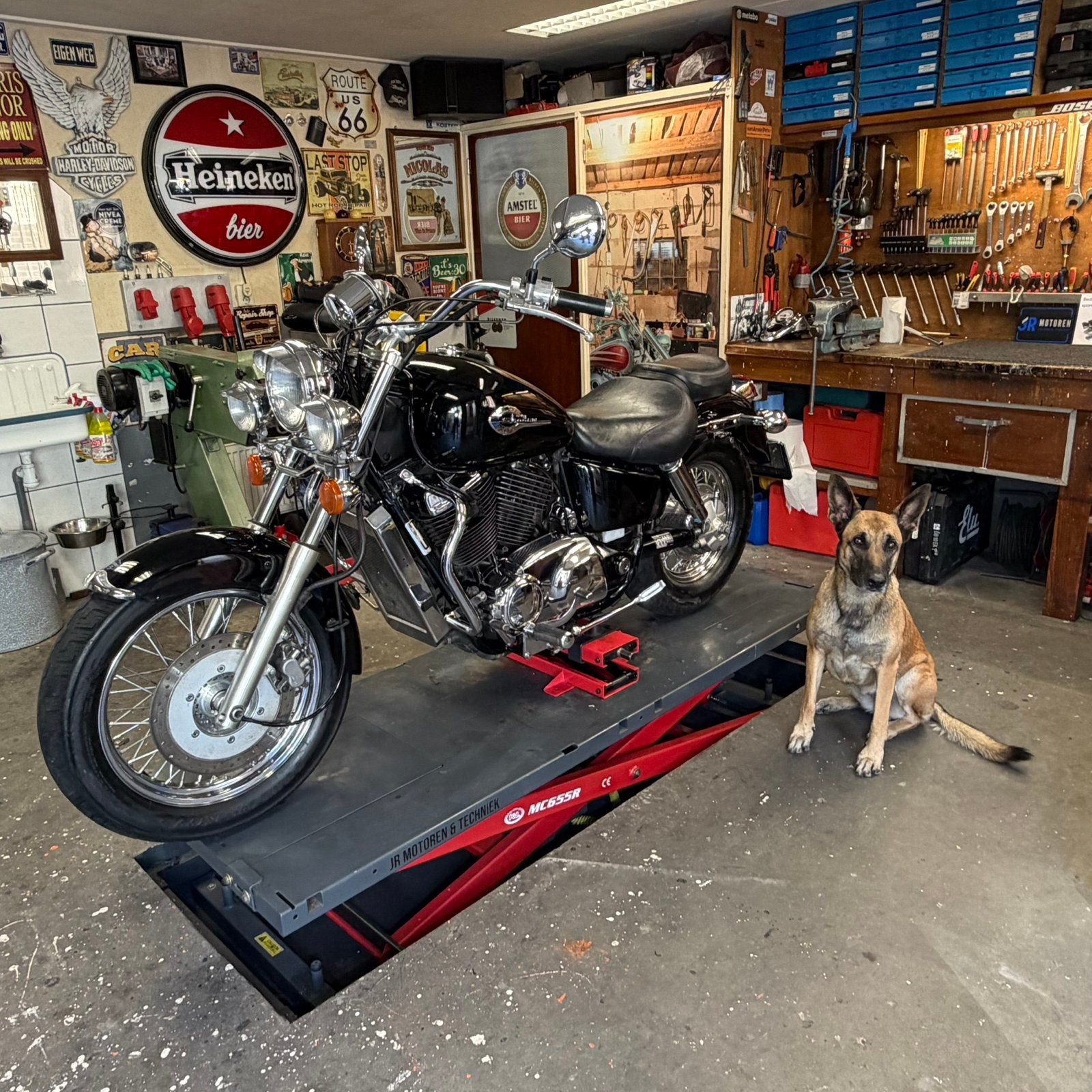 Honda shadow VT 1100 american classic edition, Particulier, Chopper