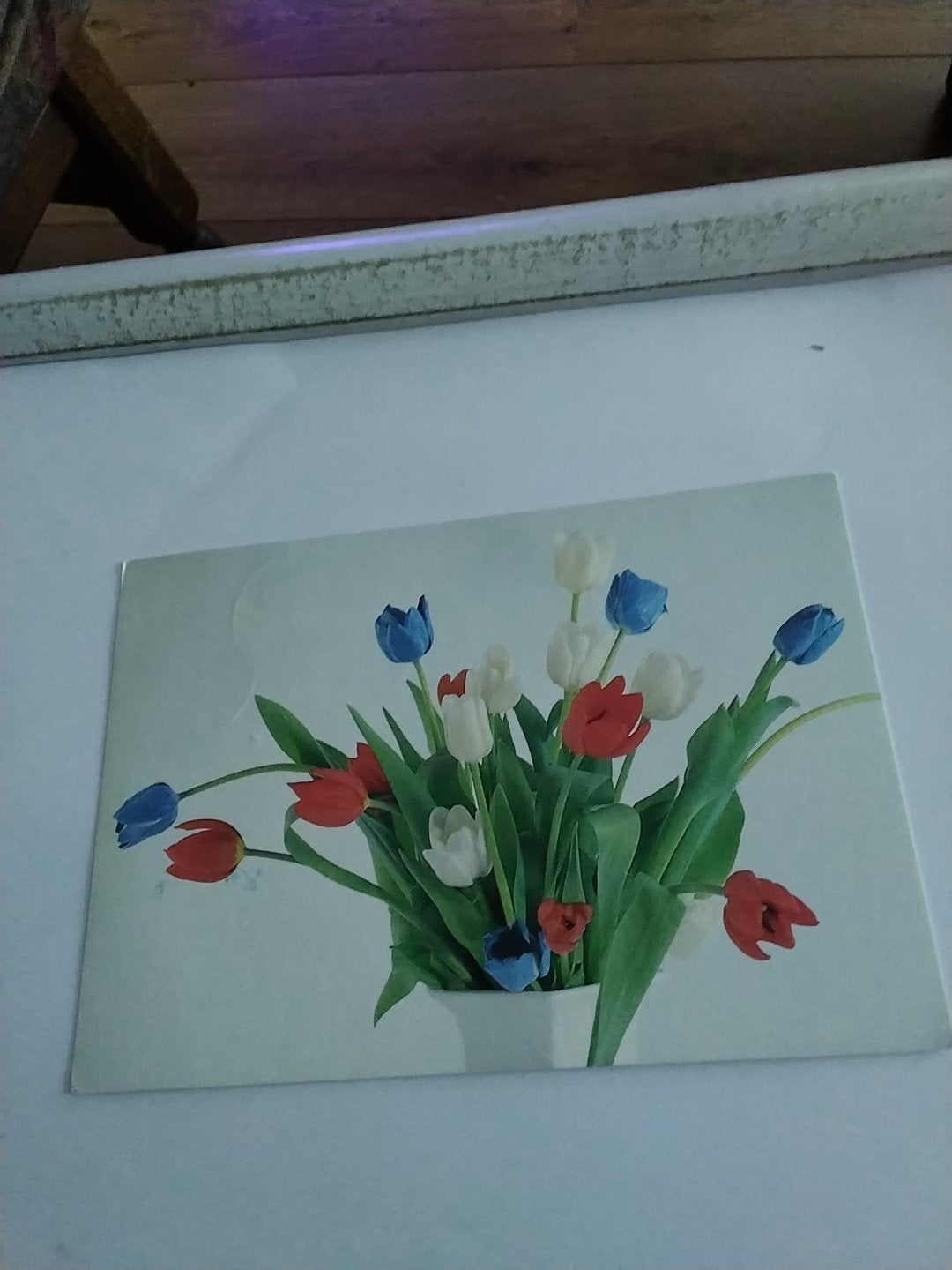 Ansichtkaart Tjalf Sparnaay 1985 - Tulpen rood, wit, blauw, Ophalen of Verzenden, 1980 tot heden, Gelopen