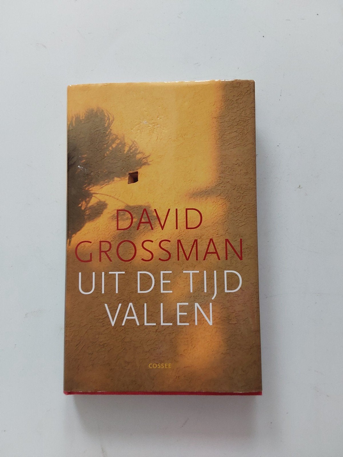 David Grossman : Uit de tijd vallen 🆕️, Boeken, Wereld overig, Nieuw, Ophalen of Verzenden, David Grossman