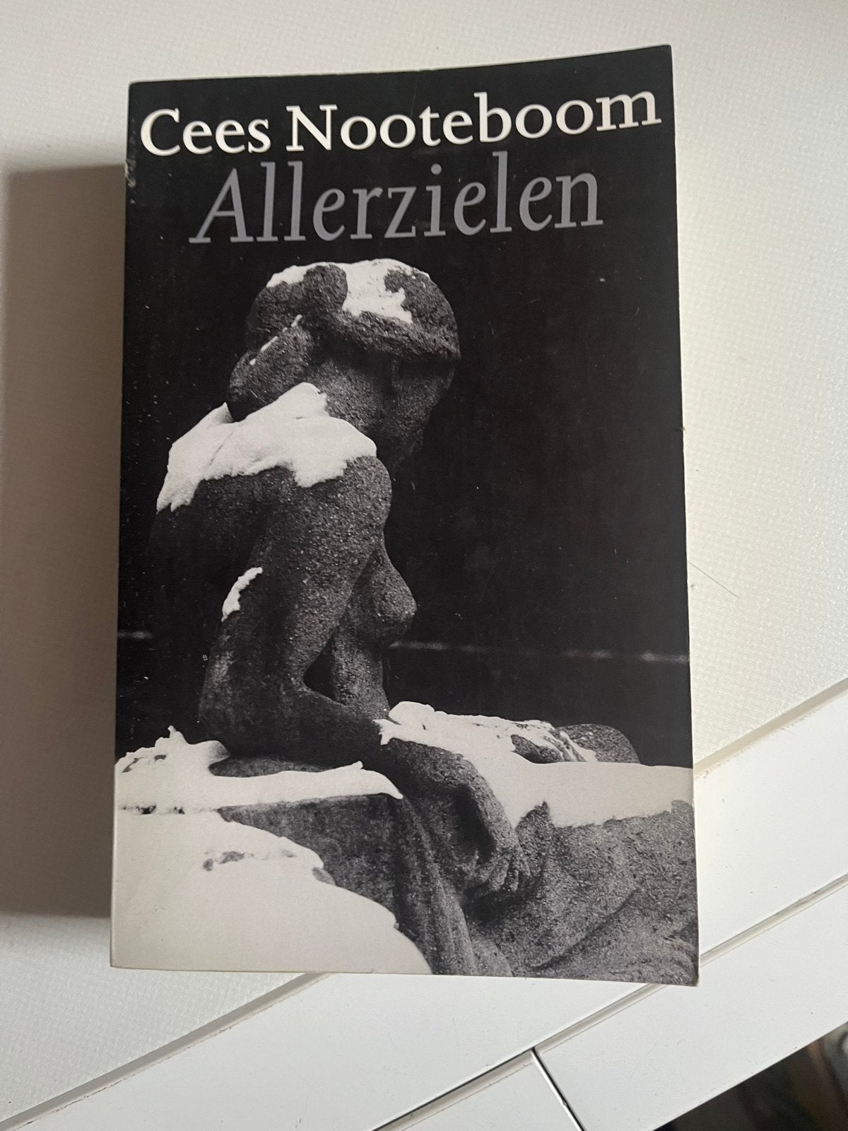 Allerzielen - Cees Nooteboom (Boek), Ophalen of Verzenden, Gelezen, Nederland