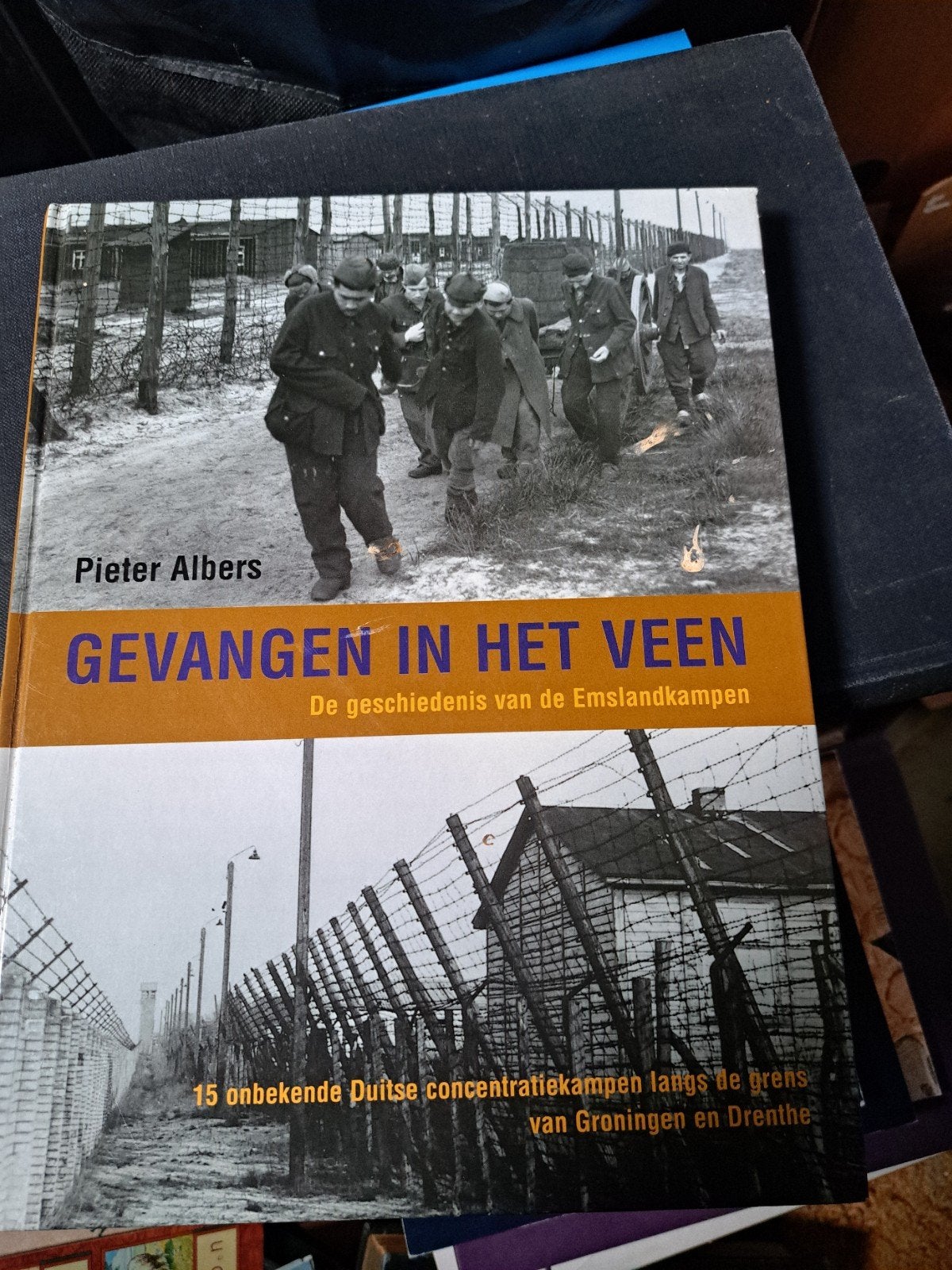 Gevangen in het Veen: Geschiedenis Emslandkampen, Tweede Wereldoorlog, Pieter Albers, Ophalen of Verzenden, Zo goed als nieuw