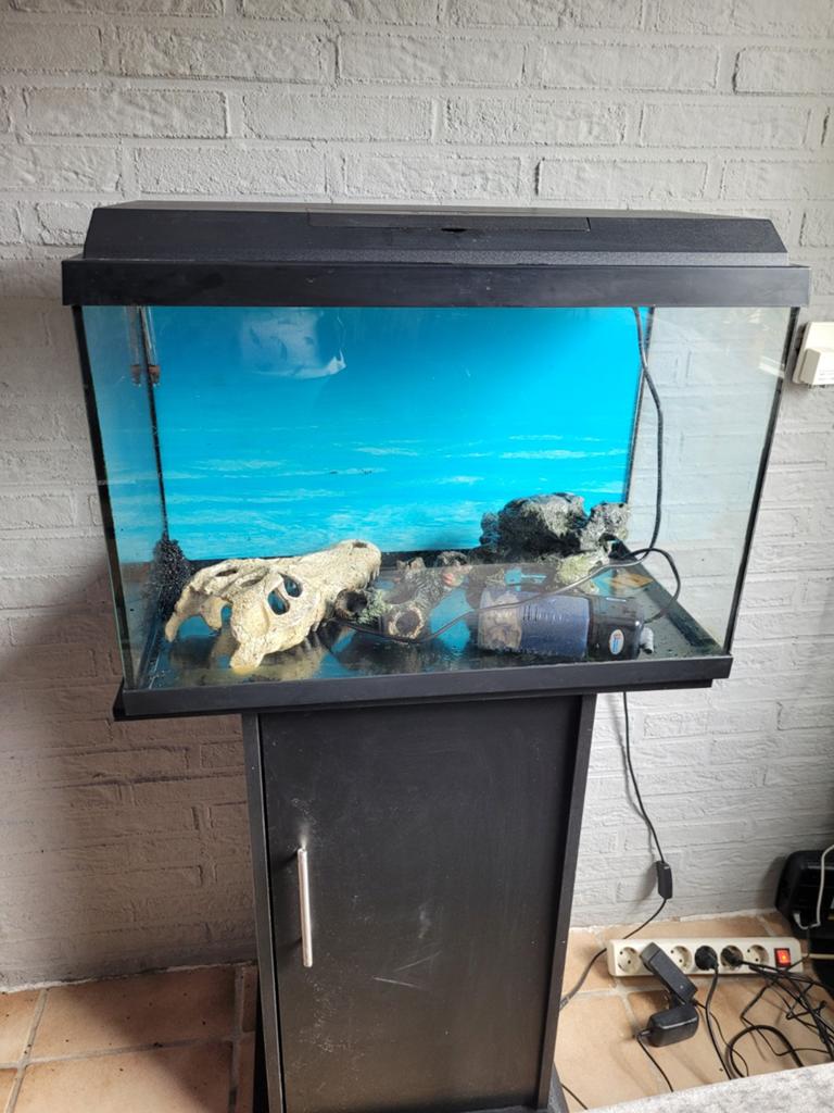 Aquarium, Dieren en Toebehoren, Ophalen, Leeg aquarium