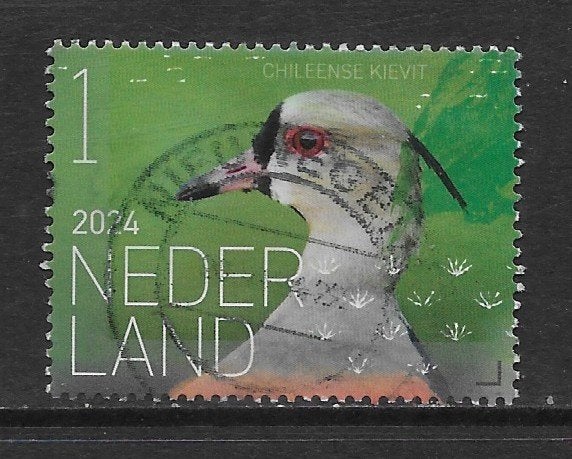 2024, Vogels Bonaire, Chileense Kievit [4166] (K2509), Ophalen of Verzenden