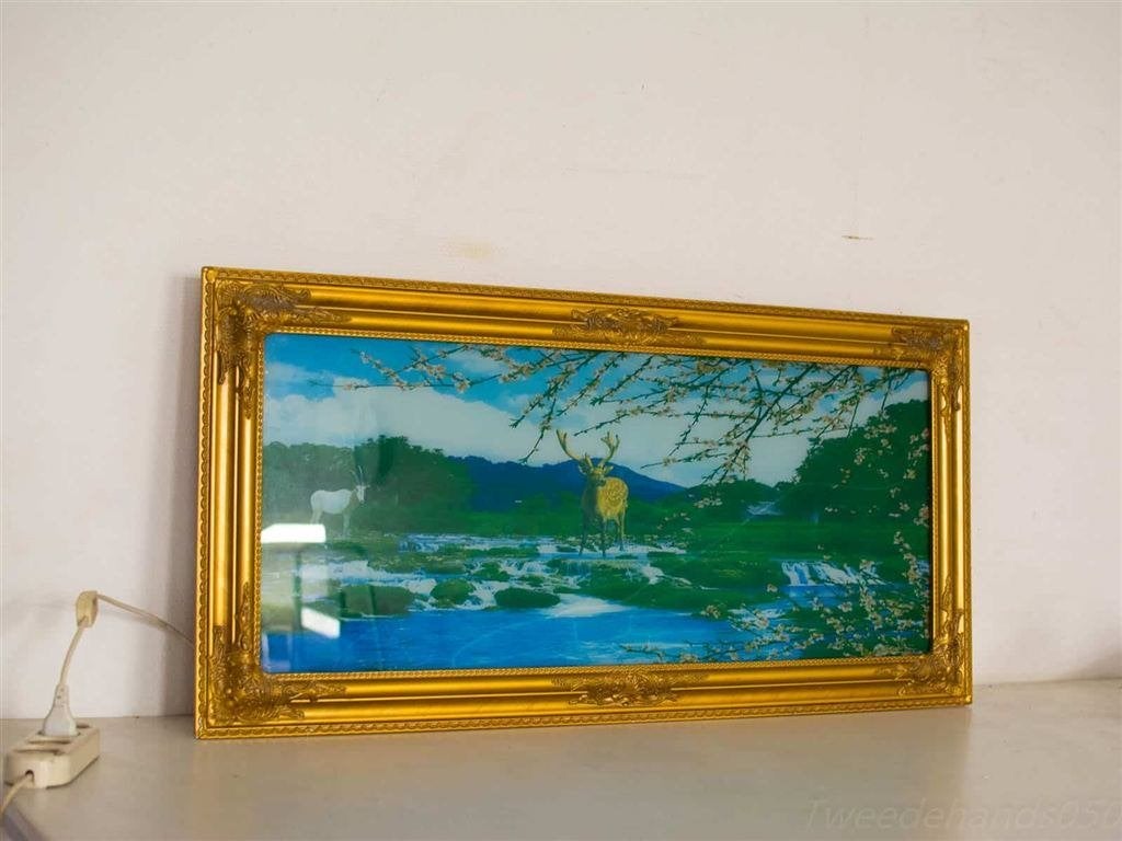 prent met licht 26706, Ophalen of Verzenden, Voor 1920, Ongelopen, Vogel
