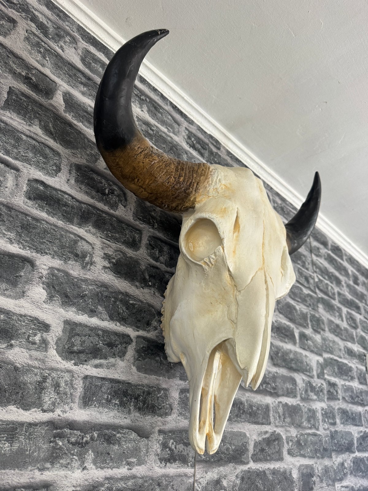 Stierenkop kunst te koop 60 euro, Ophalen of Verzenden, Zo goed als nieuw, Beeldje of Figuurtje