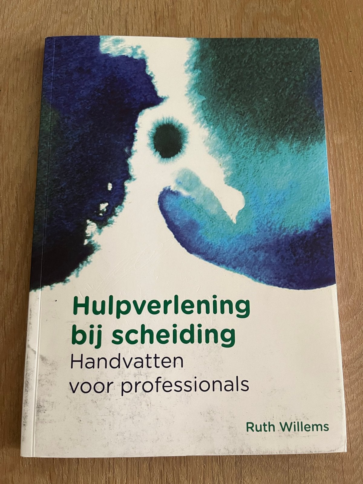 Hulpverlening bij scheiding: Handvatten voor professionals, Boeken, Ophalen of Verzenden, Zo goed als nieuw