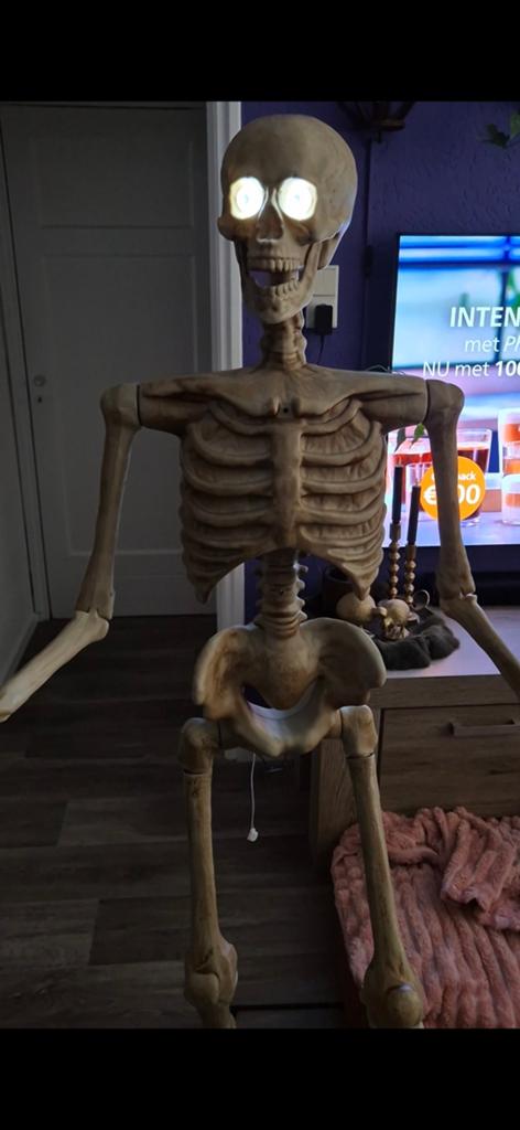 Halloween skelet, Ophalen of Verzenden, Halloween of Griezel