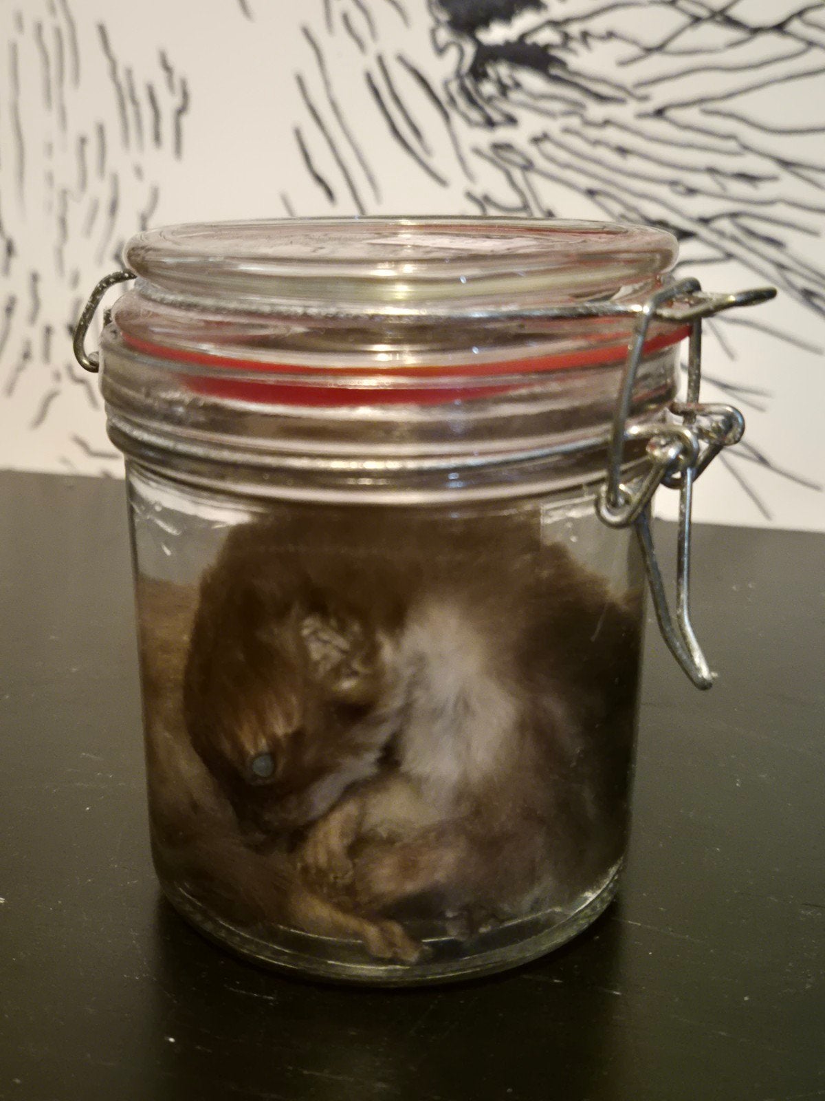Te koop: schattige wezel op sterk water, Ophalen of Verzenden, Nieuw, Reptiel of Amfibie, Beeldje of Figuurtje
