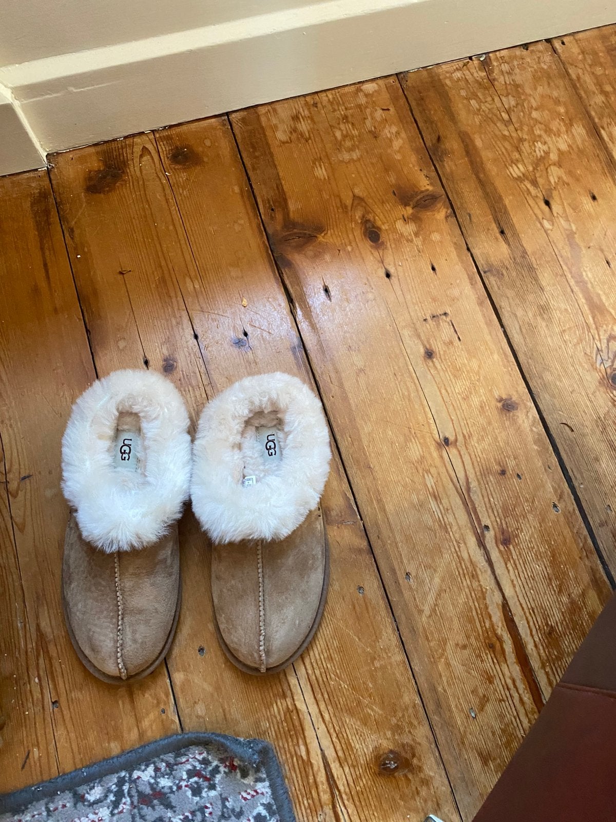 Ugg pantoffels - Nieuw Ophalen…, Ophalen, Bruin, Nieuw, Pantoffels of Sloffen