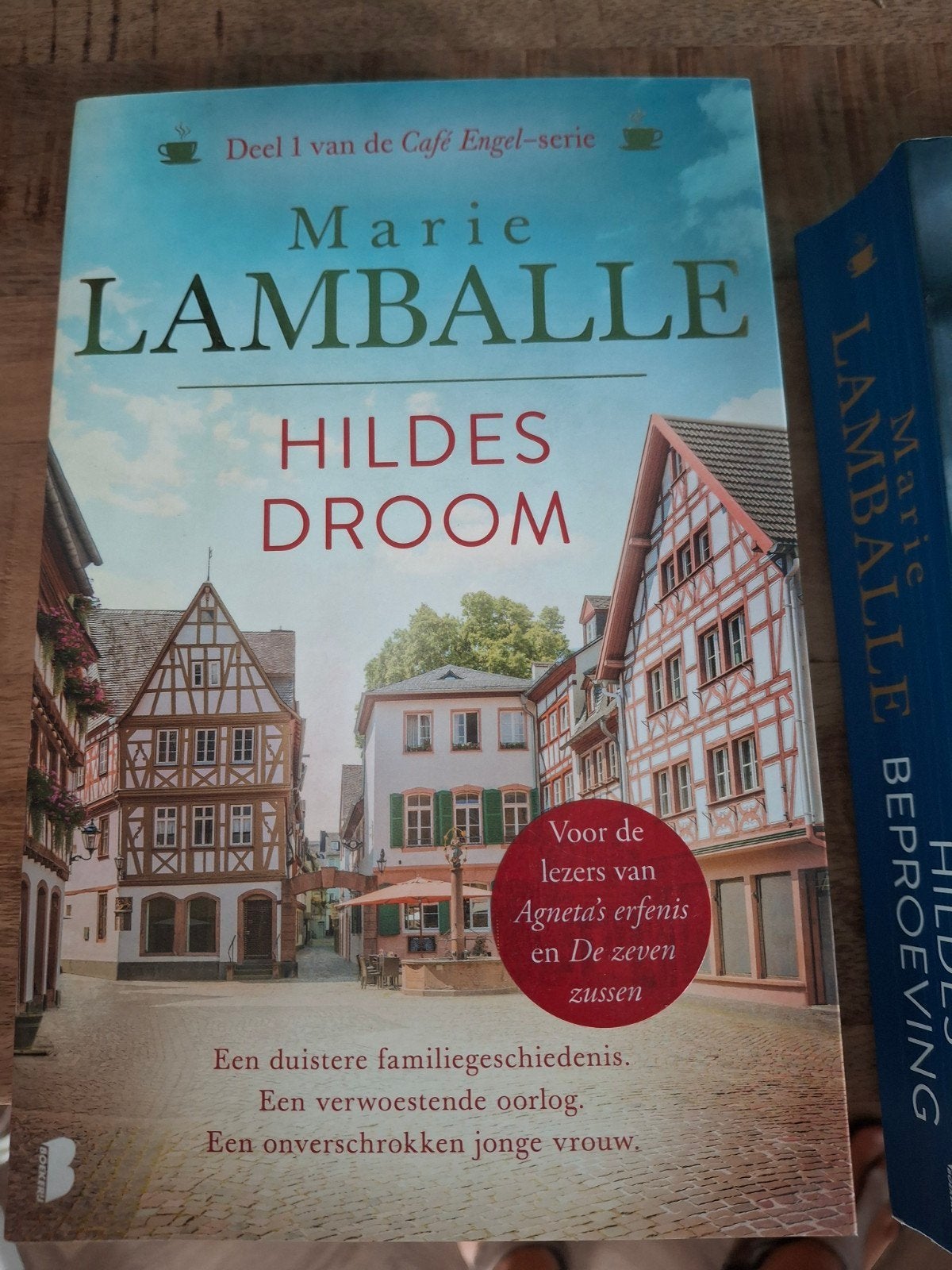 Marie Lamballe - Hildes Droom, Beproeving & Geluk (3 boeken), Ophalen of Verzenden, Zo goed als nieuw, Marie Lamballe, Nederland