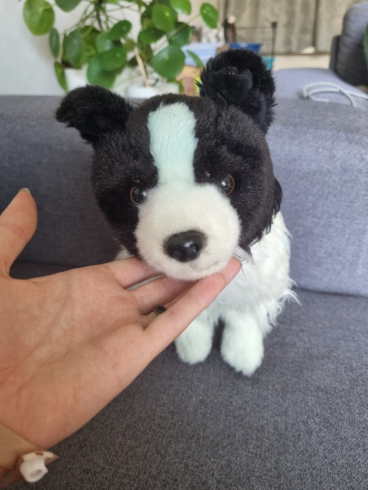 border Collie hond knuffel met rode halsband, Ophalen, Gebruikt, Hond, Meerkleurig