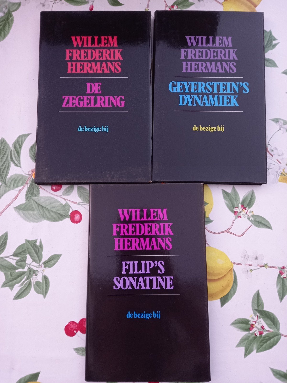 Willem Frederik Hermans X, Boeken, Ophalen of Verzenden, Gelezen, Willem Frederik Hermans, Nederland