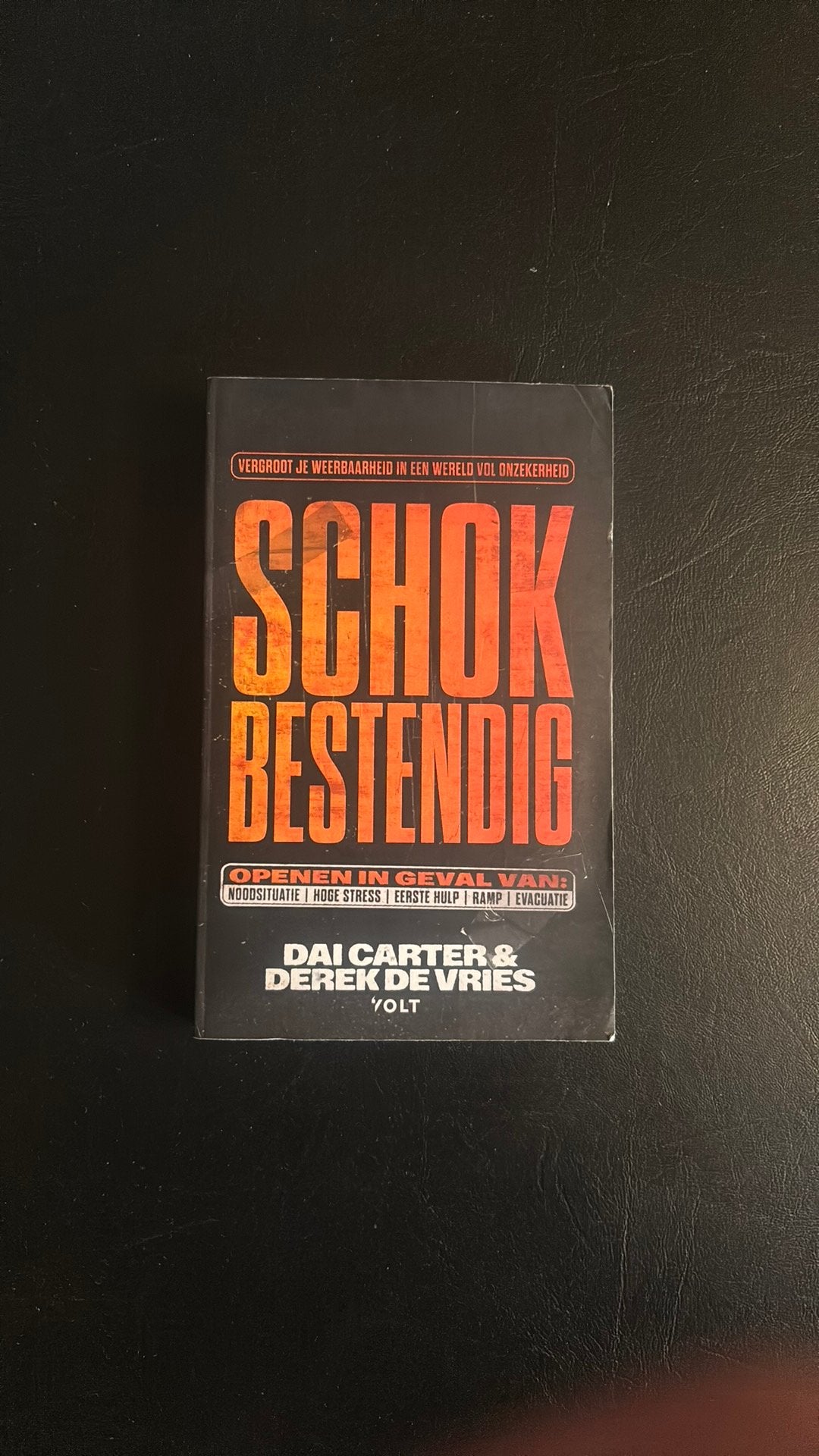 Dai Carter & Derek de Vries - Schokbestendig, Ophalen of Verzenden, Zo goed als nieuw