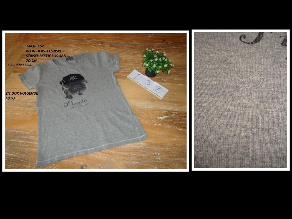 grijs t-shirt hond up, Kinderen en Baby's, Kinderkleding | Maat 152, Gebruikt, Meisje, Ophalen of Verzenden, Shirt of Longsleeve