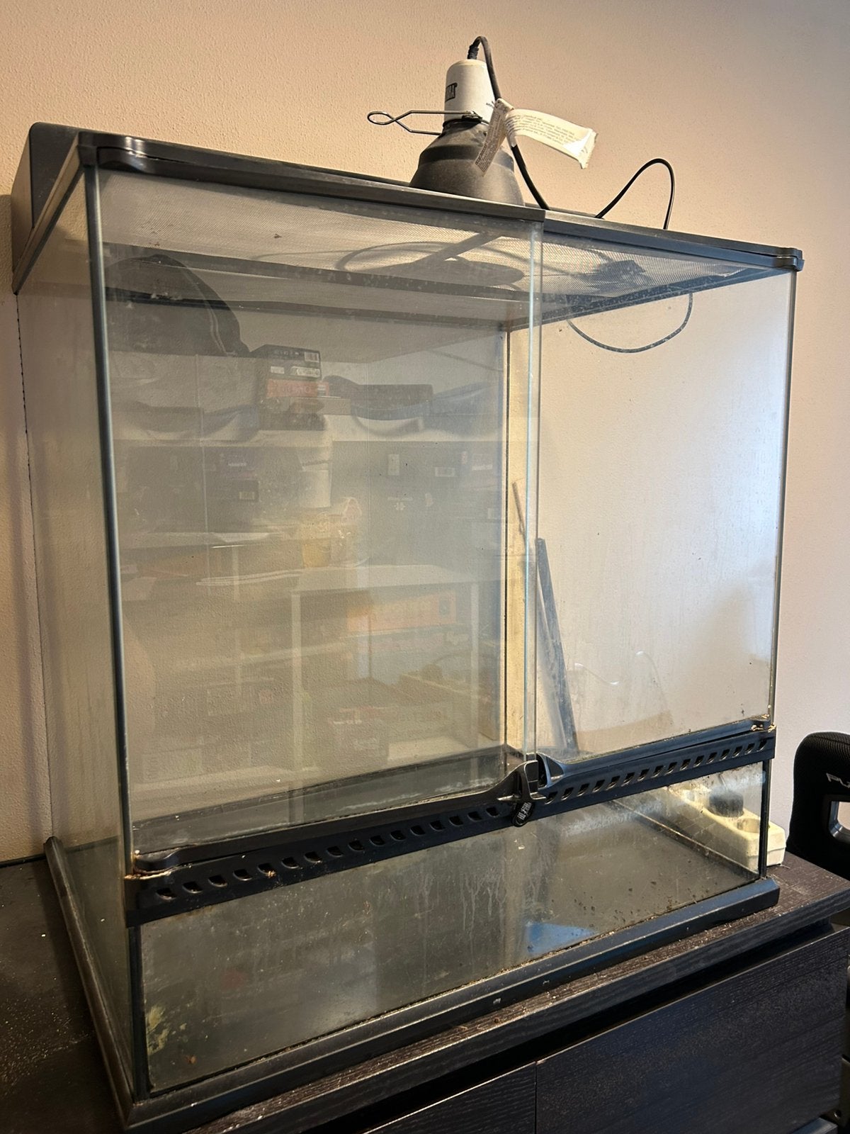 Exo Terra terrarium 60x60x40 met toebehoren, Dieren en Toebehoren, Reptielen en Amfibieën | Toebehoren, Ophalen, Gebruikt, Terrarium of Paludarium