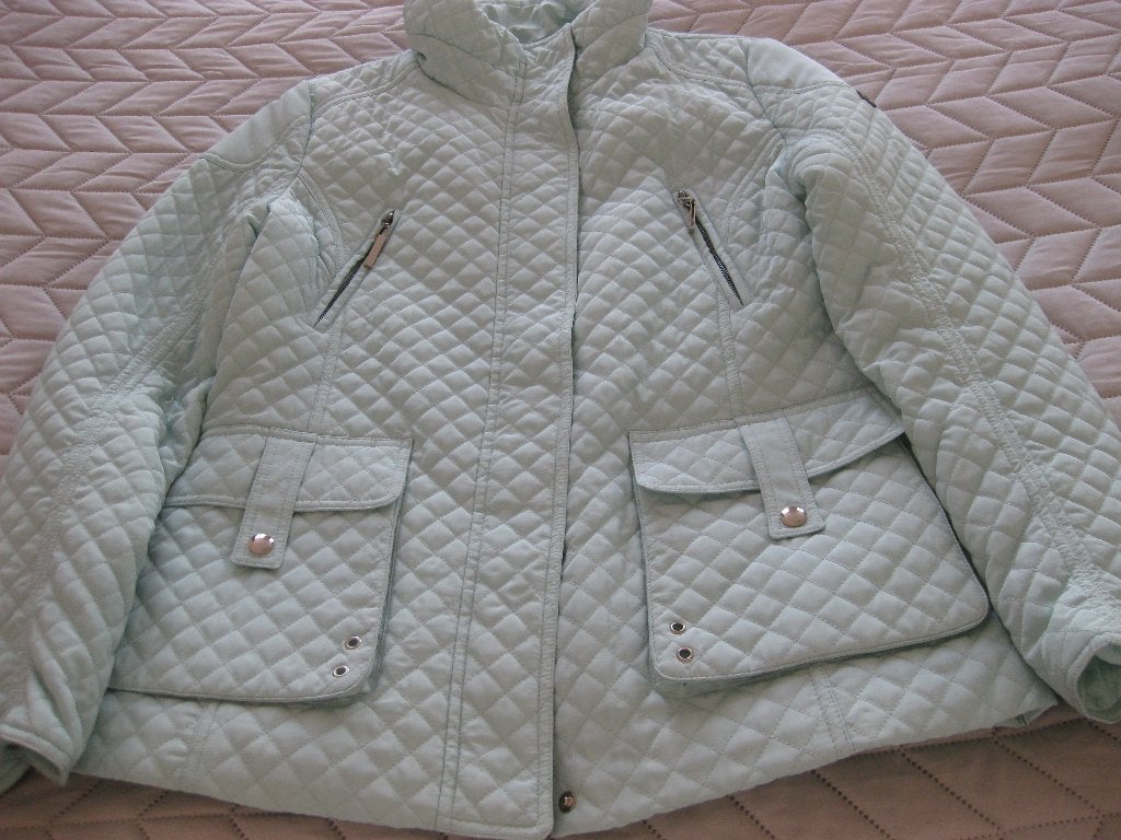Gewatteerde  maat 38 kleur is mint (Nicky), Kleding | Dames, Maat 38/40 (M), Overige kleuren, Ophalen of Verzenden, Zo goed als nieuw