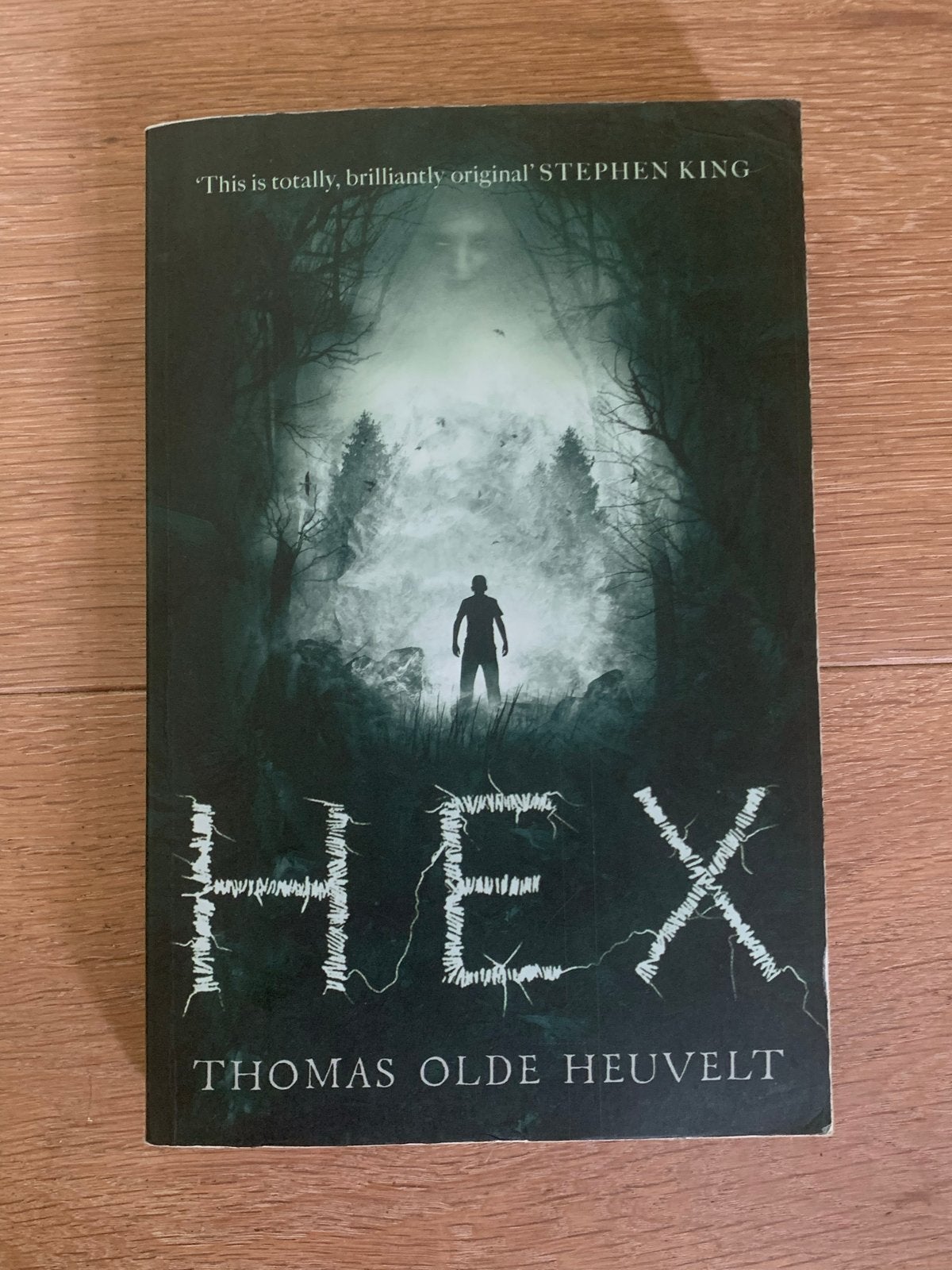 HEX - Thomas Olde Heuvelt (Horrorboek), Verzenden, Gelezen, Nederland