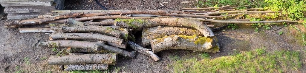 Hardhout Taxus en Malus. Paar jaar oud., Ophalen, Hout