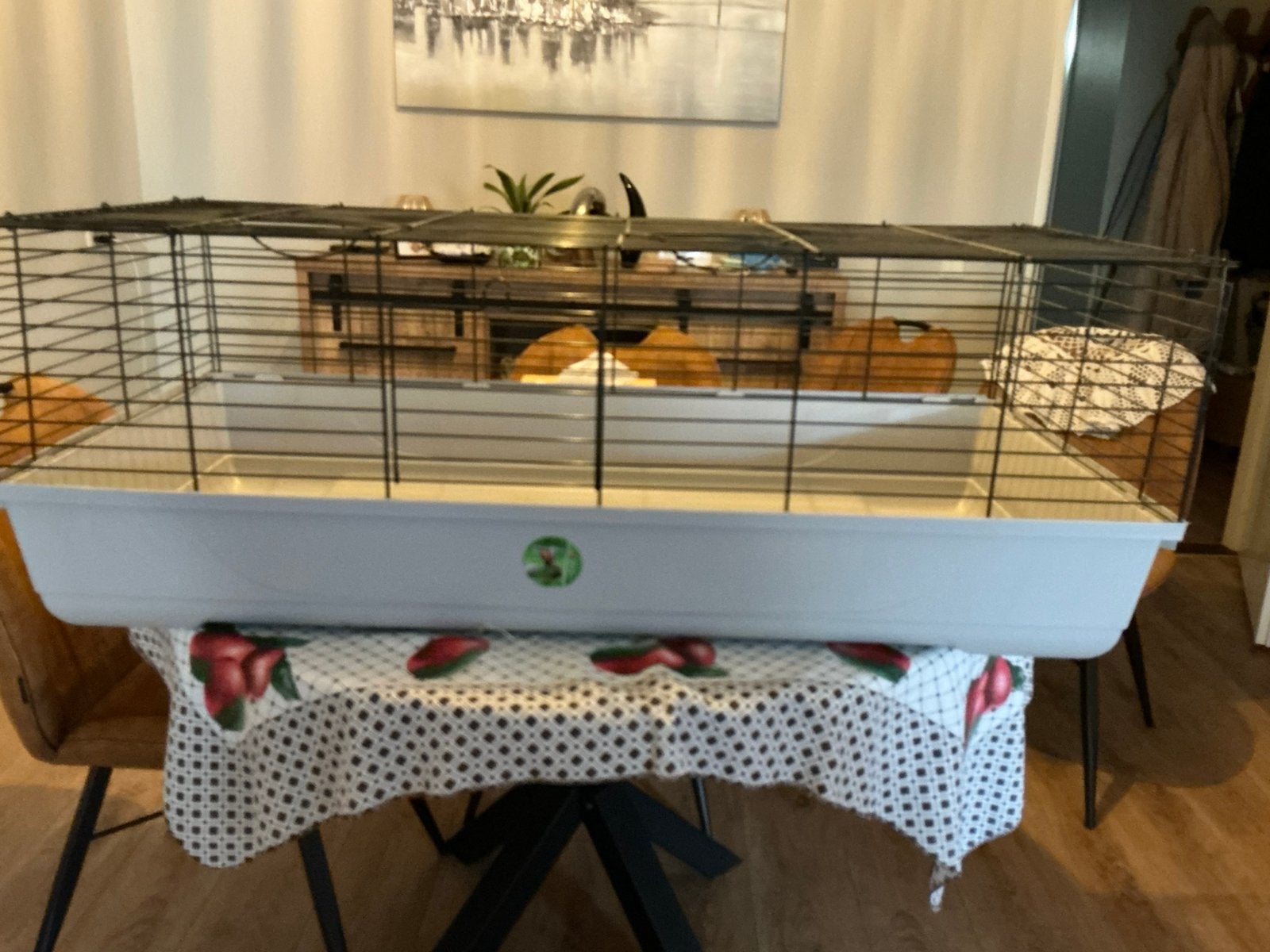 Te koop konijn/ Cavia kooi, Dieren en Toebehoren, Knaagdieren en Konijnen | Hokken en Kooien, Kooi, Gebruikt, Konijn, 75 tot 110 cm