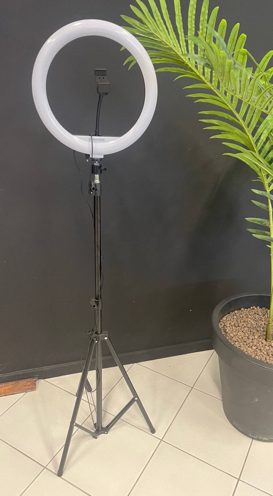 Nieuw Grundig selfie xxl led ring light statief, Ophalen of Verzenden, Nieuw, Overige typen