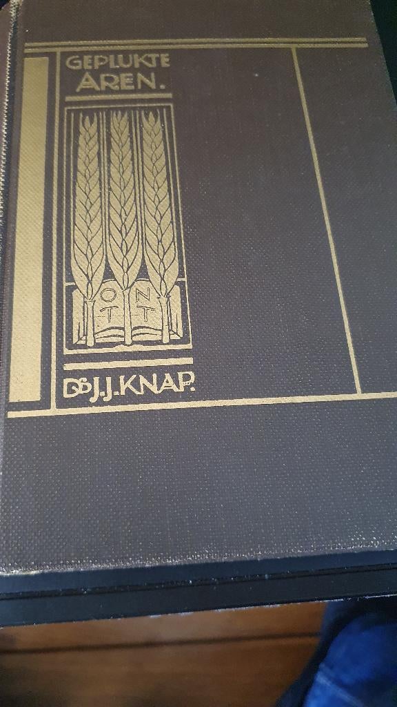 Bijbels Dagboek, Gelezen, Ophalen of Verzenden, Christendom | Protestants, Diverse auteurs