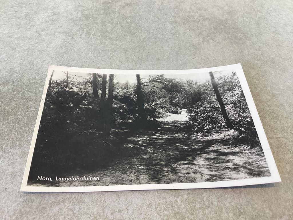 Norg.     Langeloërduinen, Ophalen of Verzenden