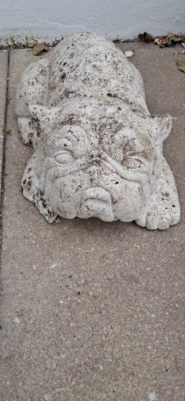 Prachtige Betonnen Buldog:, Tuin en Terras, Ophalen of Verzenden
