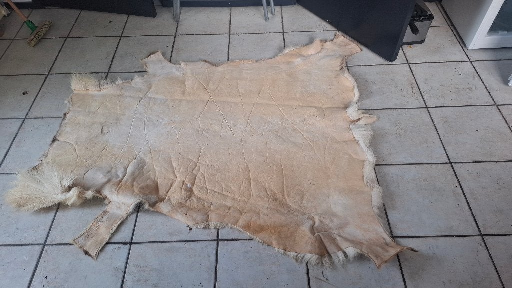 1x Rendierhuid, Ophalen of Verzenden, Zo goed als nieuw, Rechthoekig, 100 tot 150 cm