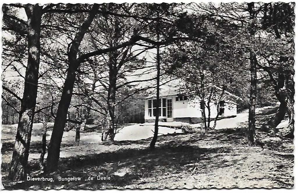 Dieverbrug bungalow de deele oude ansichtkaart ( a2092, Ophalen of Verzenden, 1960 tot 1980, Gelopen