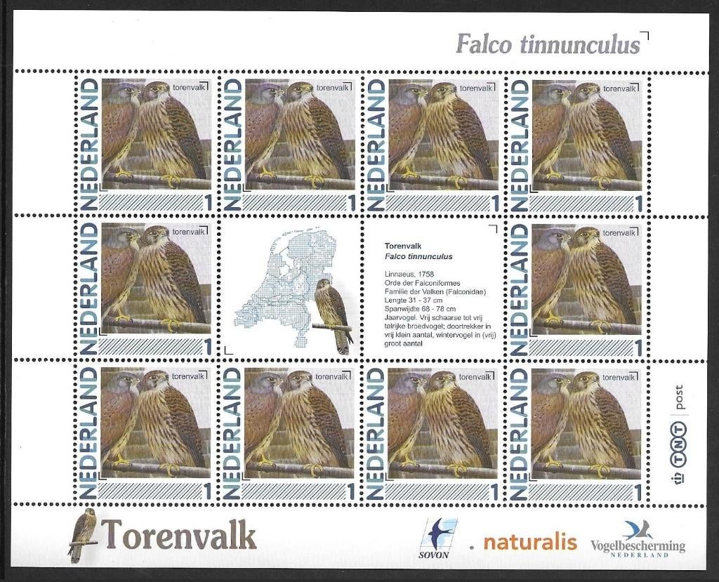 Vel persoonlijke zegels, Vogels Torenvalk postfris, Ophalen of Verzenden, Postfris